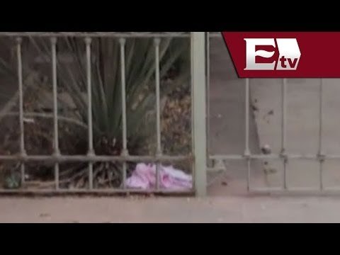 Cadáver de recién nacido es abandonado en biblioteca de San Luis Potosí / Vianey Esquinca