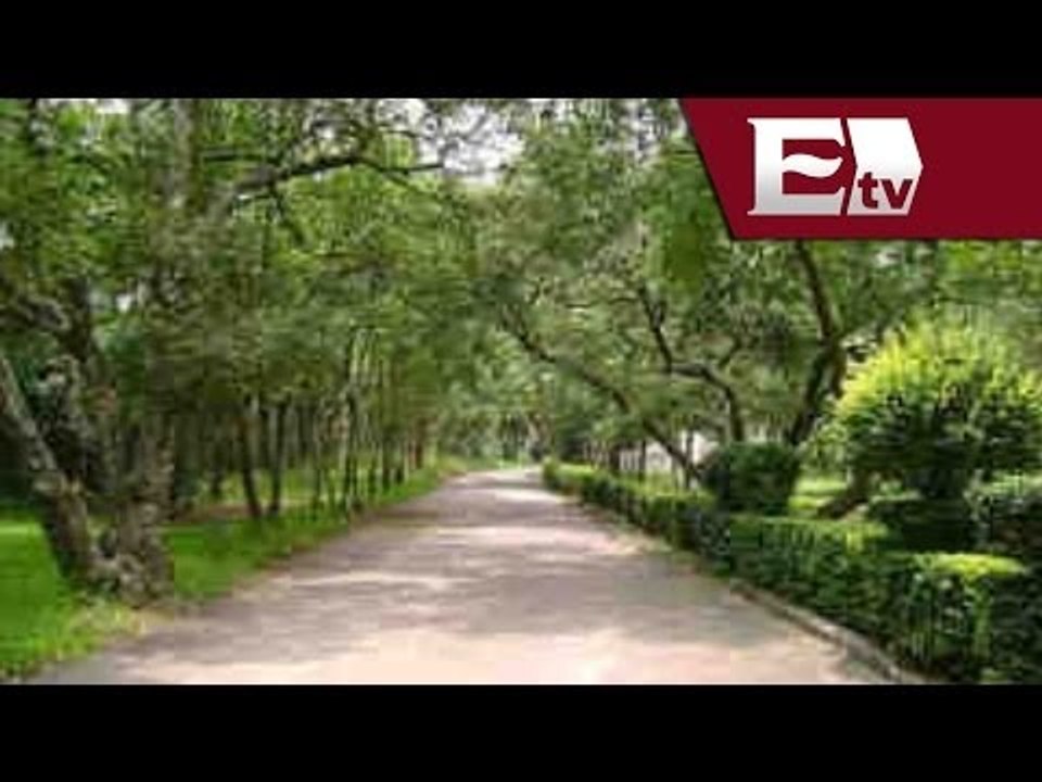 Bosque de Tlalpan vive con asaltos y violaciones/ Titulares con Vianey Esquinca