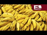 Chiquita y Fyffes buscan crear la mayor empresa de plátanos del mundo/ David Segoviano