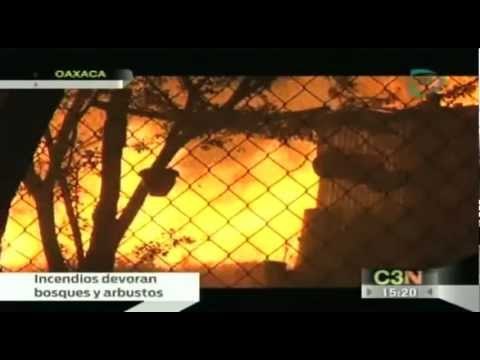 Incendio forestal consume grandes extensiones de bosques y pastizales en Oaxaca