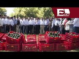 Peña Nieto se reune con productores de aguacate en Michoacán/ Titulares de la tarde
