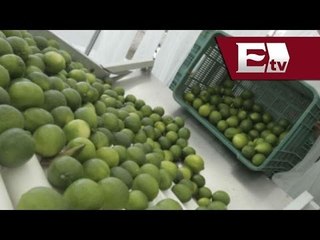 Profeco suspende establecimientos donde se vende limón / Martin Espinosa