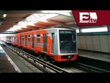 Suspenden servicio en tramo elevado de la Línea 12 del Metro / Andrea Newman