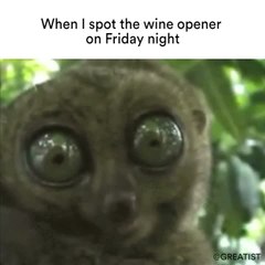 When I spot the wine opener on Friday night