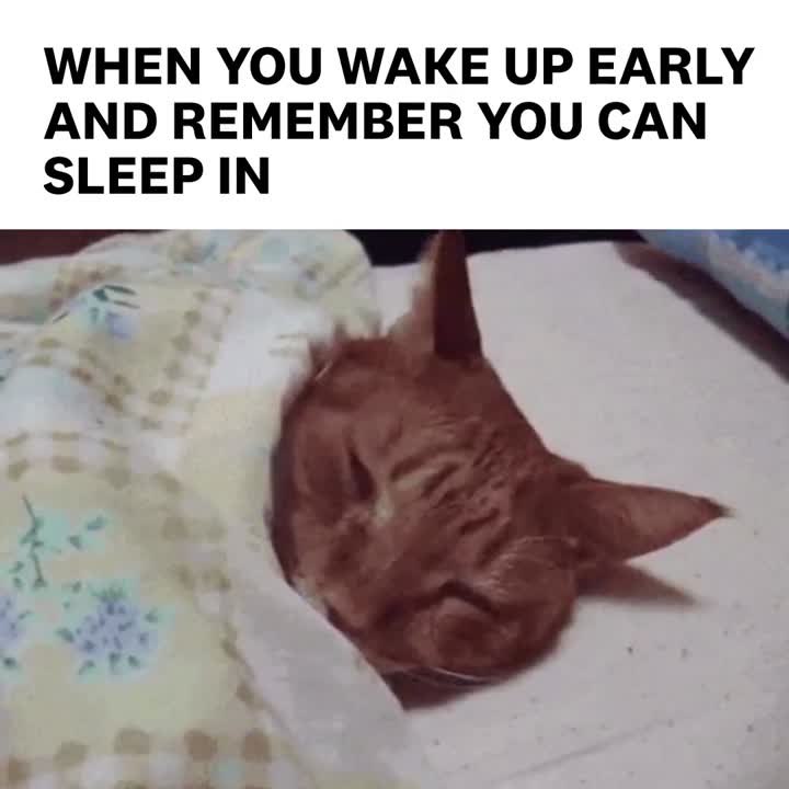 When You Wake Up Early And Remember You Can Sleep In