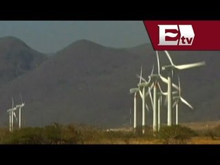 Cemex invertirá 600 mdd en creación de parque eólico en Nuevo León/ Dinero Rodrigo Pacheco