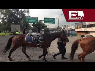 Aparece caballo en Zaragoza; buscan a su dueño / Titulares con Vianey Esquinca