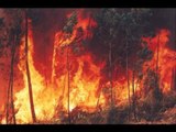 Aumentan incendios en Guerrero