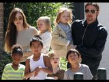 Brad Pitt les regala un zoológico doméstico a sus hijos