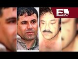 Premian a Sinaloa tras captura de 'El Chapo' Guzmán / Vianey Esquinca