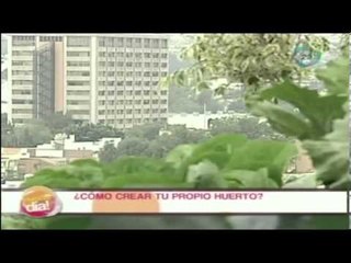 ¿Cómo crear tu propio huerto?