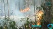 Afecta incendio 10 hectáreas en Bacalar, Quintana Roo; hay 83 siniestros activos en el país