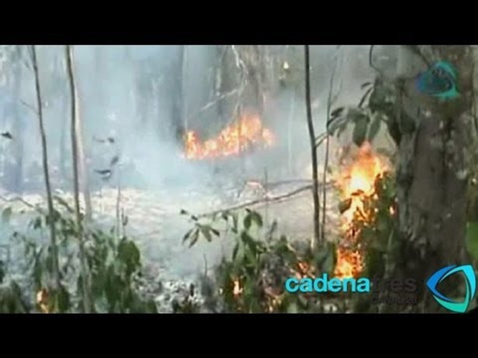 Afecta incendio 10 hectáreas en Bacalar, Quintana Roo; hay 83 siniestros activos en el país