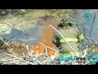 Contabilizan 2 mil muertos por incendios forestales en 2012; aumentan siniestros en Veracruz