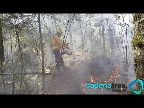 Incendios en San Luis Potosí afectaron 10 mil hectáreas; hay tres detenidos