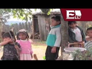 Analizan en Senado Secretaría de Asuntos Indígenas / Excélsior Informa