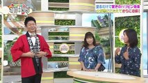 おびゴハン!秋鮭とキノコのグラタン_北斗流きのこと海苔の佃煮ピザ - 18.10.04