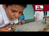 Agua potable gratis en escuelas y restaurantes de la Ciudad de México / Excélsior informa