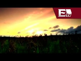 Exhortan a tomar medidas preventivas en el Día de la Tierra/ Pascal Beltrán del Río