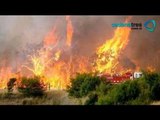 Reportan 9 incendios activos en San Luis Potosí