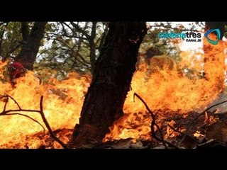 Continúan los incendios en Michoacán, se han reportado 500 incendios.