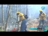 Incendio ya consumió 400 hectáreas de selva en Bacalar, Quintana Roo