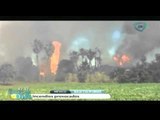 Incendios forestales provocados por descuido humano en Baja California