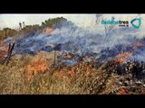 Incendios en San Miguelito, San Luis Potosí siguen activos