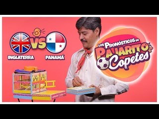 Inglaterra vs Panamá ¿Quién va a ganar el partido? | Pajarito Copetes