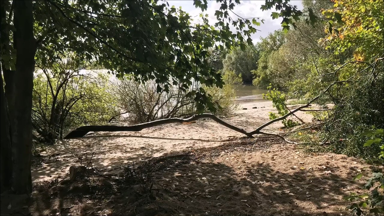 Wedel Willkomm-Höft Oktober 2018 /Full Film/Complete Movie/Ganzer Film