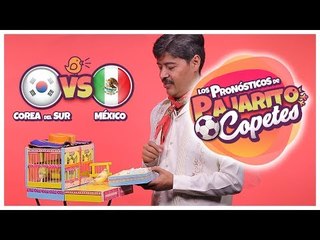 México vs Corea ¿Quién va a ganar el partido? | Pajarito Copetes