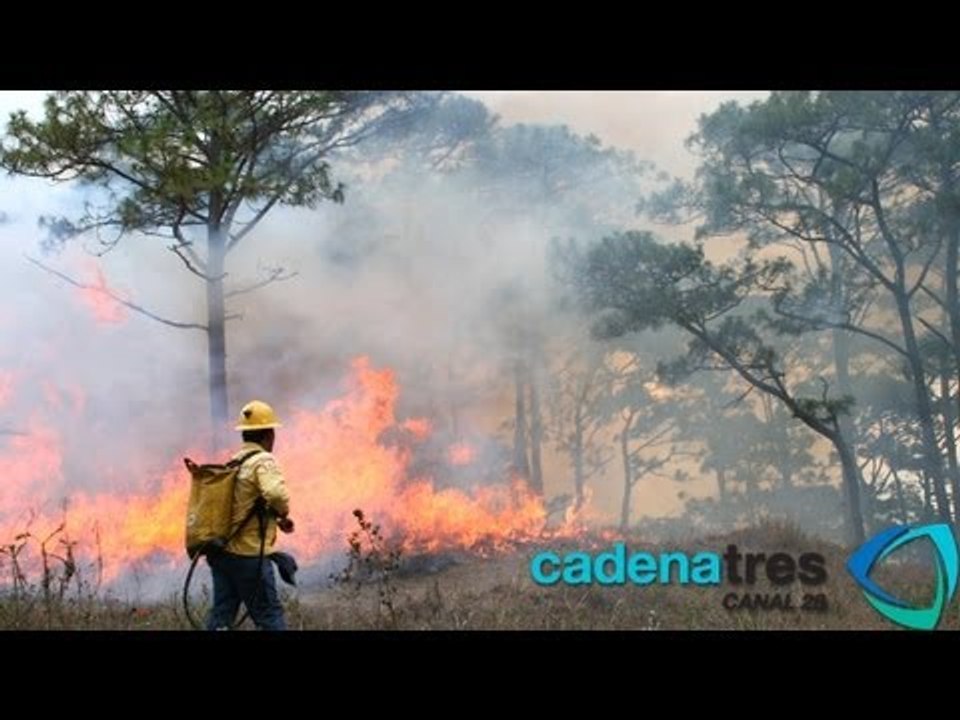 Reportan 4 incendios activos en Veracruz; contabilizan 143 siniestros en el país