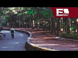 Bosque de Tlalpan será vigilado por policías a caballo y a pie / Excélsior informa