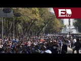 Saldo blanco en marcha por el día del maestro en la Ciudad de México / Vianey Esquinca