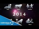 Predicciones para este 2014