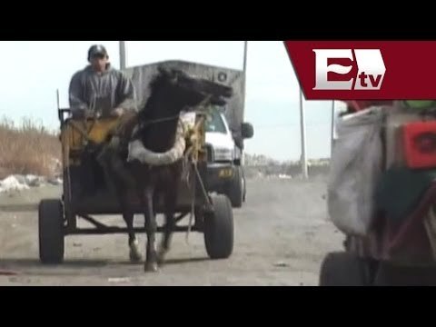 México tiene más de 500 basureros altamente contaminados: Banco Mundial / Vianey Esquinca