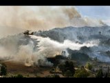 Servicio Forestal de los Estados Unidos colabora para sofocar incendio en Quintana Roo