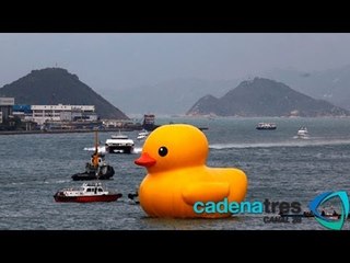 Gigantesco pato de huele navega por el puerto de Hong Kong
