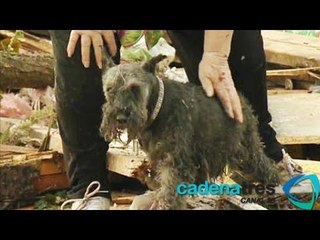 Mujer encontró a su perro entre los escombros que dejó el tornado en Oklahoma