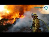 Incendio forestal consume más de 4000 hectáreas y amenaza zona residencial de Ventura, California