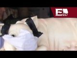 Autoridades niegan brote de epidemia porcina en Michoacán / Titulares Vianey Esquinca