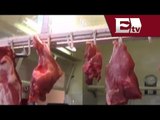 San Luis Potosí en alerta por amenaza de epidemia porcina / Titulares Vianey Esquinca