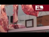 Alerta por epidemia porcina en San Luis Potosí / Excélsior Informa