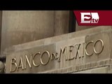 Crédito bancario crecer 4,9% en abril 2014: Banco de México / Dinero