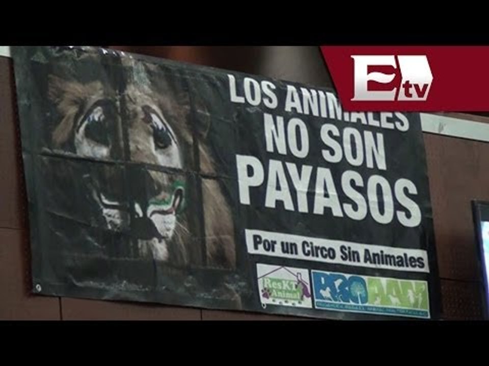 Prohíben en Zacatecas  las presentaciones de circos con animales / Titulares con Vianey Esquinca