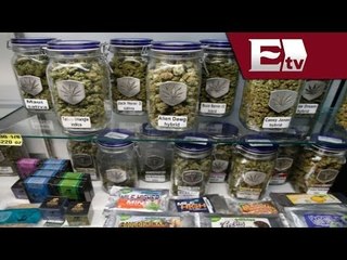 Política de drogas en América latina y EU / Análisis global con José Carreño