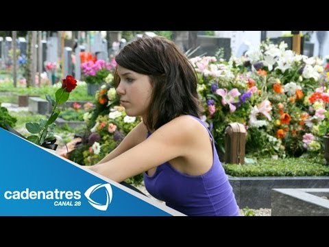 ¿Qué hacer si perdimos un amor? / ¿Cómo manejar la perdida de un ser querido?