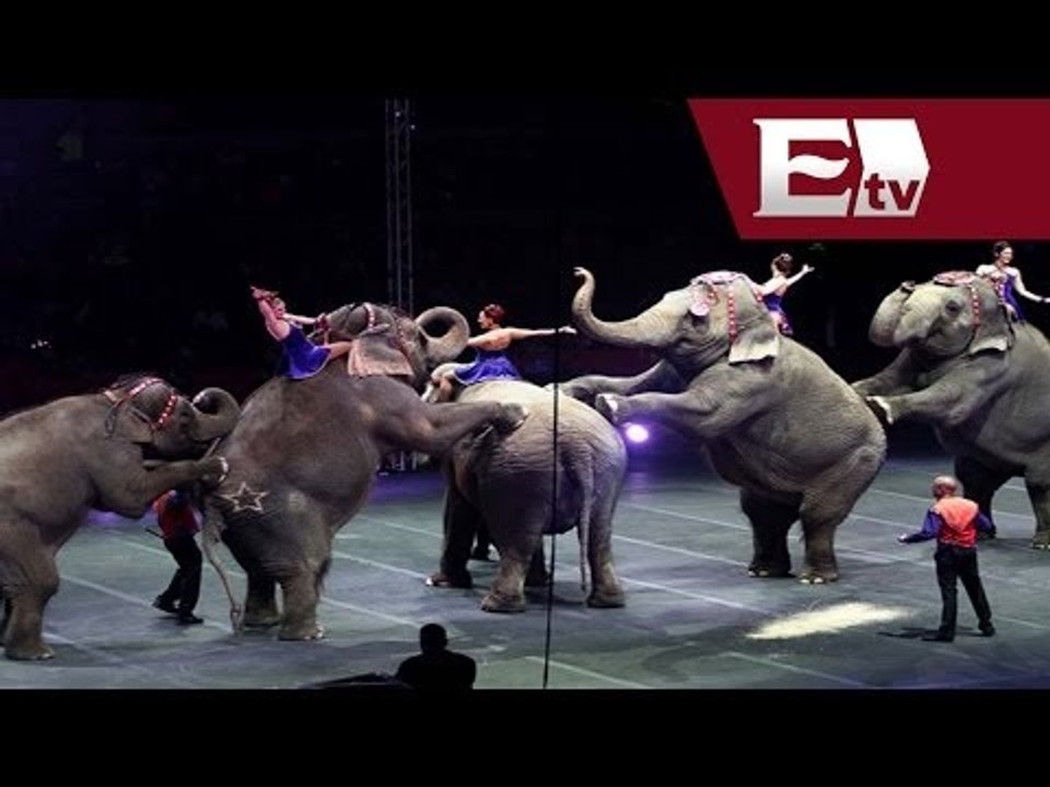 Gobierno del Distrito Federal prohibe espectáculos de circo con animales / Titulares Vianey Esquinca