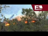 Incendio forestal en California amenaza a cientos de viviendas/ Global