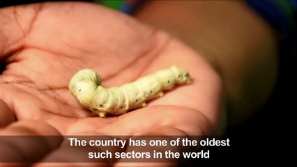 Bangladesh seeks revival of silk industry